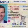 California Fake ID