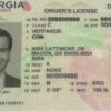 Georgia Fake ID