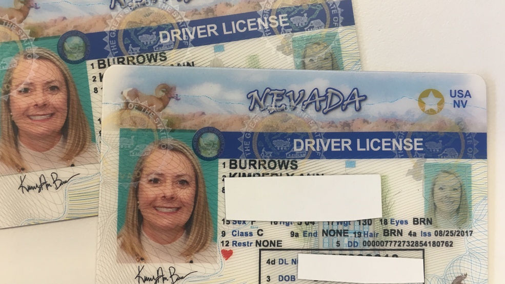 fake nevada id identical dmv polycarbonate